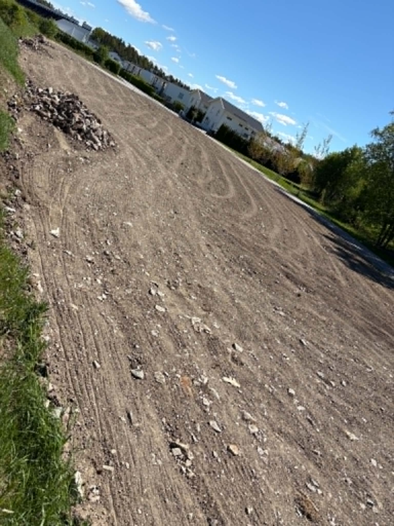 Bild på nysådd äng.